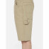 Фото #9 товара DICKIES Duck Canvas shorts