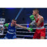 Фото #4 товара Boxing gloves Yakima Sport Grand M 10 oz 10049610OZ