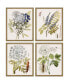 Фото #1 товара Paragon Lacy Leaves Framed Wall Art Set of 4, 21" x 17"