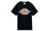 T-shirt Dickies LogoT DK006909CC2