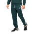 Фото #1 товара Puma Tmc X Everday Hussle T7 Pants Mens Green Casual Athletic Bottoms 53480906