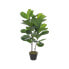 Фото #2 товара Kunstpflanze Ficus Lyrata