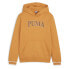 Фото #1 товара PUMA Squad Hoodie