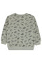 Фото #18 товара Erkek Çocuk Sweatshirt 2-5 Yaş Gri