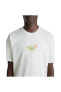 Фото #42 товара Pineapple Skull Ss Tee Erkek Beyaz T-shirt