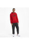 Ess Big Logo Hoodie Tr