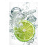 Фото #1 товара Magnettafel Lime Bubbles