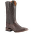 Фото #2 товара Ferrini Belly Caiman Chocolate Square Toe Cowboy Mens Brown Casual Boots 12493-