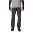 Фото #1 товара COLUMBIA Silver Ridge™ Utility Pants