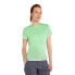 Фото #2 товара ICEBREAKER Merino Core Plume short sleeve T-shirt