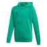 Фото #1 товара ADIDAS Core 18 hoodie