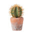 Фото #1 товара Klein Künstlicher Kaktus mit orange