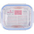 QUTTIN Rectangular Lunch Box With Airtight Lid 21x25.5 cm