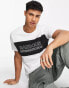 Фото #1 товара Barbour International panel logo t-shirt in white