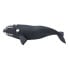 SAFARI LTD Right Whale Figure