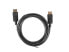 Lanberg CA-DPDP-10CC-0030-BK - 3 m - DisplayPort - DisplayPort - Male - Male - 3840 x 2160 pixels