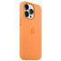 APPLE iPhone 13 Pro Cover