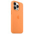 Фото #1 товара APPLE iPhone 13 Pro Cover