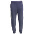 Diadora 2030 Pants Mens Blue Casual Athletic Bottoms 179394-60063