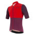 Фото #4 товара SANTINI Redux Istinto short sleeve jersey