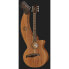 Фото #2 товара Timberline Guitars T20HGC-e Harp Guitar