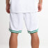 Nike NBA SW AJ5586-100 Pants