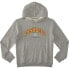 Фото #2 товара DC Shoes Orientation Ph hoodie