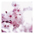 Фото #2 товара Leinwandbild Cherry Blossom