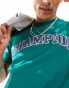 Champion Rochester collegiate logo t-shirt in dark green grün, M - фото #3