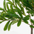 Фото #3 товара Kunstpflanze Olivenbaum