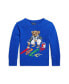 ფოტო #1 პროდუქტის Toddler and Little Boys Polo Bear Cotton Sweater