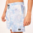 OAKLEY APPAREL Deco Palms RC Swimming Shorts