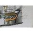 Фото #3 товара Картина DKD Home Decor Деревянное полотно клетка Коричневый (4 шт) 34 x 2 x 44 см Shabby Chic