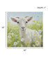 Sunshine Animals Goat Canvas Wall Art