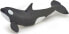 Фото #1 товара Фигурка Papo Молодой киллер-кит серии The young killer whale (Молодой киллер-кит)