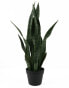 Фото #1 товара Искусственные цветы Present Time Kunstpflanze Sansevieria