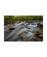 Фото #1 товара Danny Head Golden Flow Canvas Art - 37" x 49"