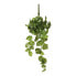Фото #1 товара Искусственное растение MICA Decorations Potos Зеленое 14 x 58 x 20 см Гирлянда