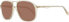 Replay Sonnenbrille RY217 S04 56 Herren Gelb 56-15-140 - фото #1