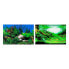 ფოტო #2 პროდუქტის FERPLAST 60x40 cm Aquarium Background