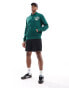 Polo Ralph Lauren retro sports logo half zip rugby sweatshirt in dark green