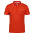 Фото #3 товара REGATTA Maverick V short sleeve polo