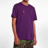 Фото #3 товара Nike ACG 背后印花短袖T恤 男款 紫色 / Футболка Nike ACG T AQ3951-537