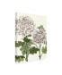 Фото #2 товара Naomi Mccavitt Early Spring Chrysanthemums III Canvas Art - 20" x 25"