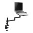 Neomounts by Newstar laptop desk mount - Notebook arm - Black - Steel - 29.5 cm (11.6") - 43.9 cm (17.3") - 5 kg