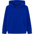 Фото #1 товара HACKETT Embossed Hdy hoodie