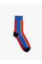 Фото #5 товара Basic Soket Çorap Çok Renkli