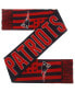 ფოტო #1 პროდუქტის Men's and Women's New England Patriots Reversible Thematic Scarf