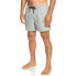 QUIKSILVER Everyday Deluxe Volley 15 Swimming Shorts