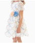 Little Girls 3D Floral Embroidered Social Dress